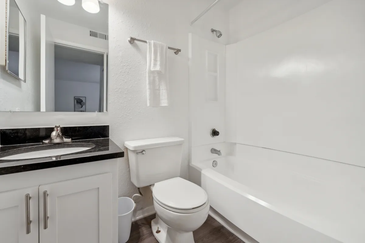 A contemporary bathroom featuring a sleek vanity with sink, a clean bathtub, a large mirror, and modern fixtures. The mood is fresh and inviting, offering a glimpse of luxurious daily routines and soothing self-care moments.
